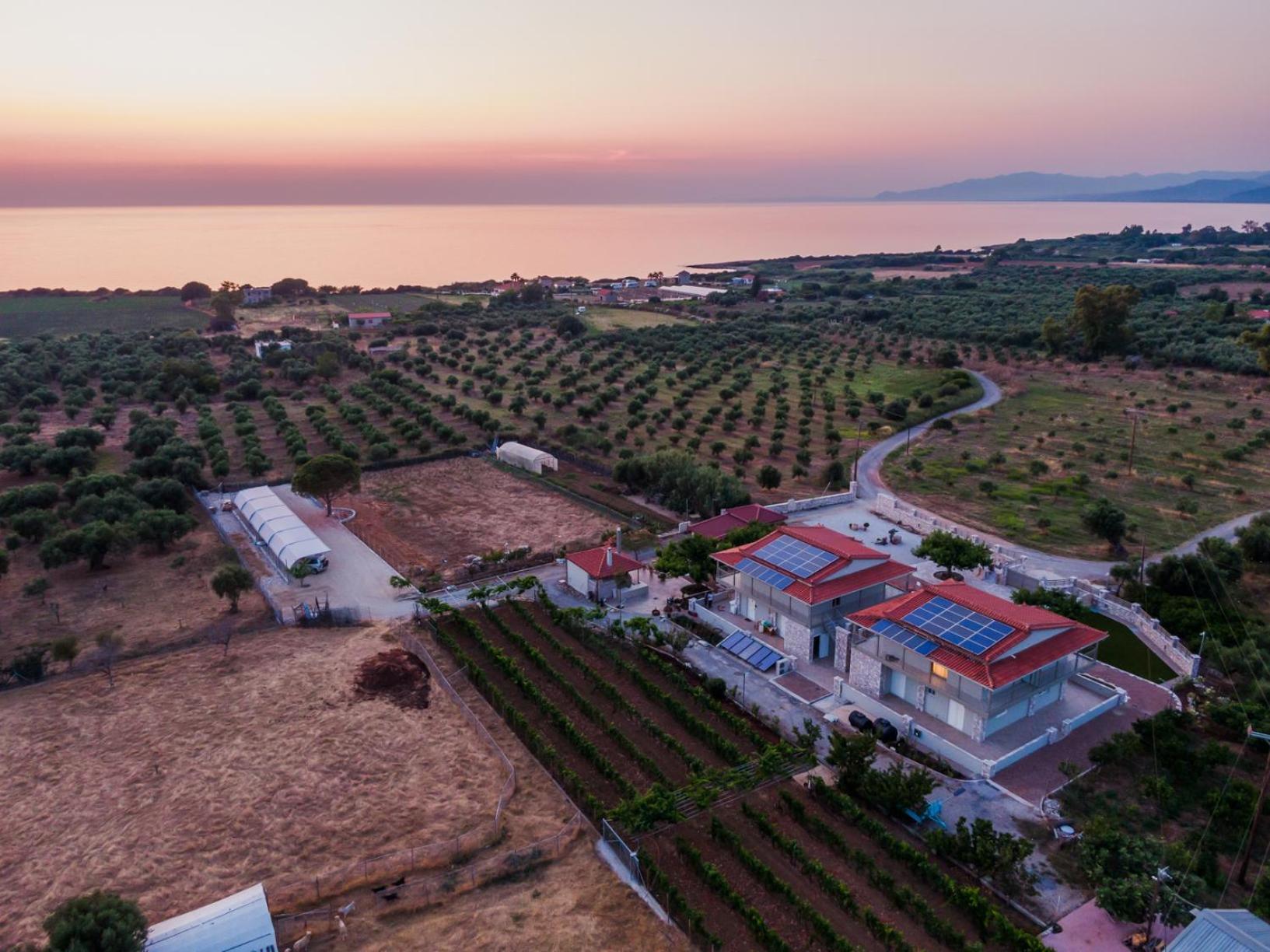Terra Helios Suites & Studios Kyparissia Buitenkant foto