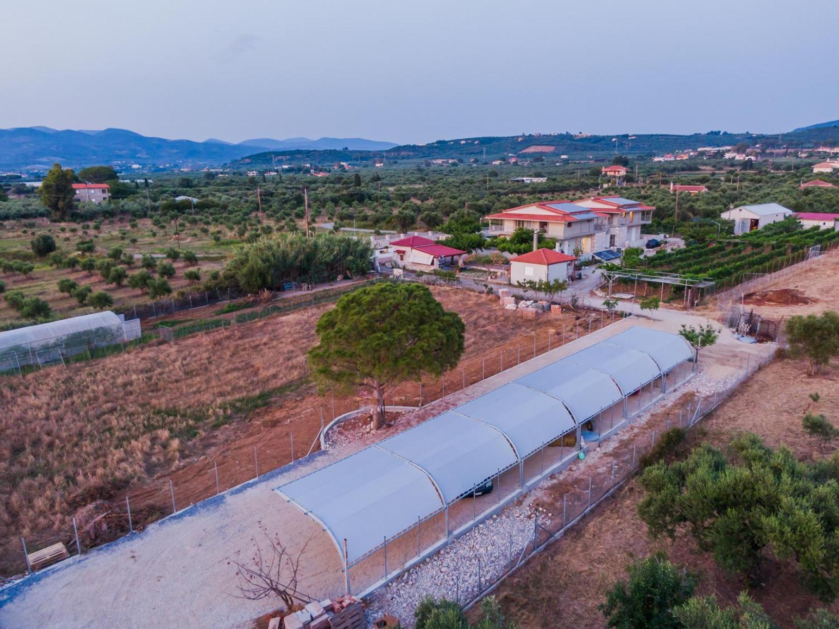 Terra Helios Suites & Studios Kyparissia Buitenkant foto