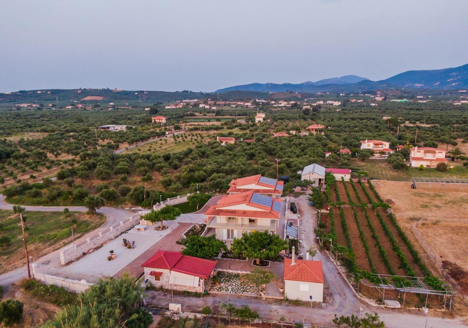 Terra Helios Suites & Studios Kyparissia Buitenkant foto